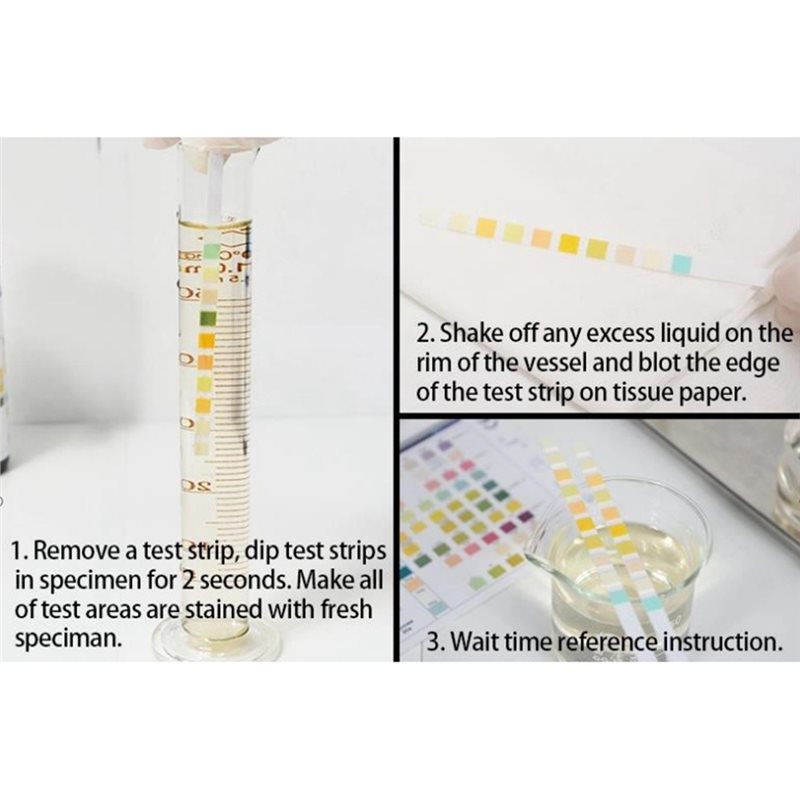 VELIF-Health Monitoring Tester - Urinalysis Reagent Strip ulasan dan harga