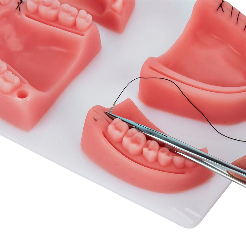 Dental Gum Skin Suture Surgica - Medical Lab Kit ulasan dan harga