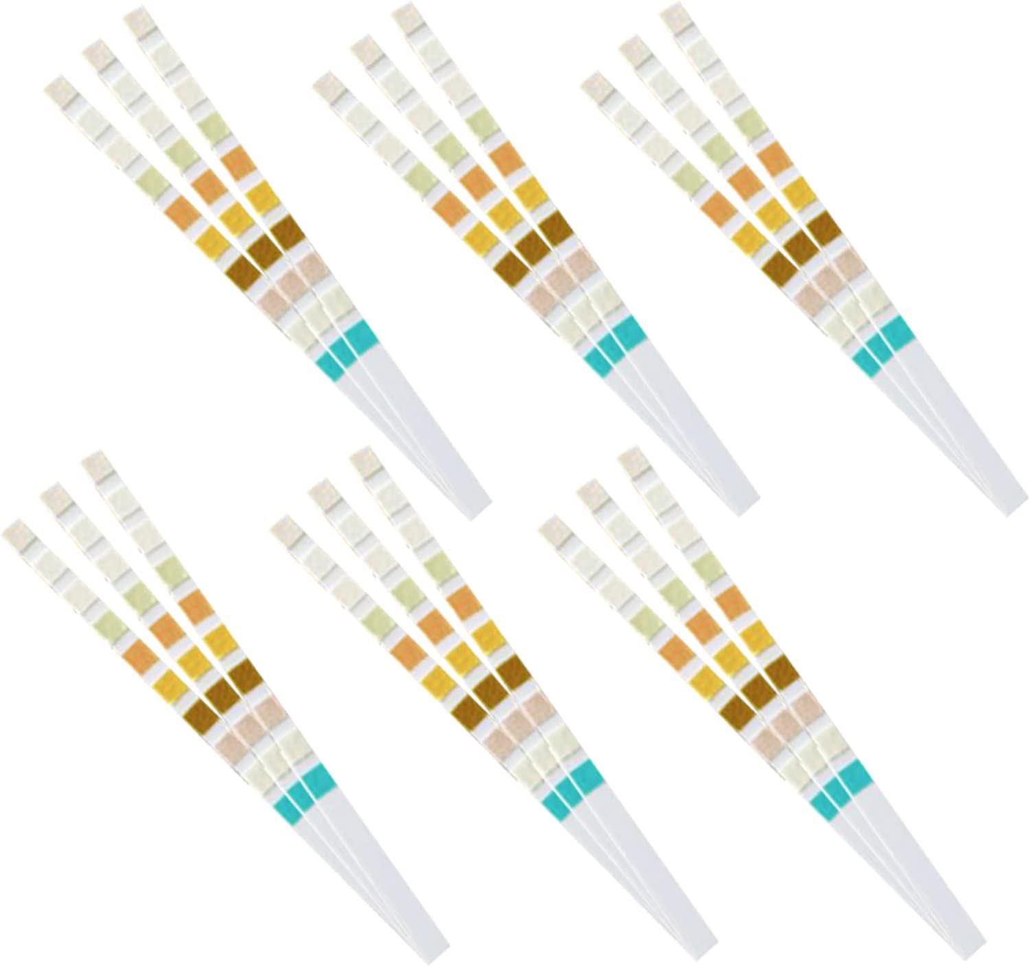 URS-10T Urine Test Strips 10 P - Urinalysis Reagent Strip ulasan dan harga