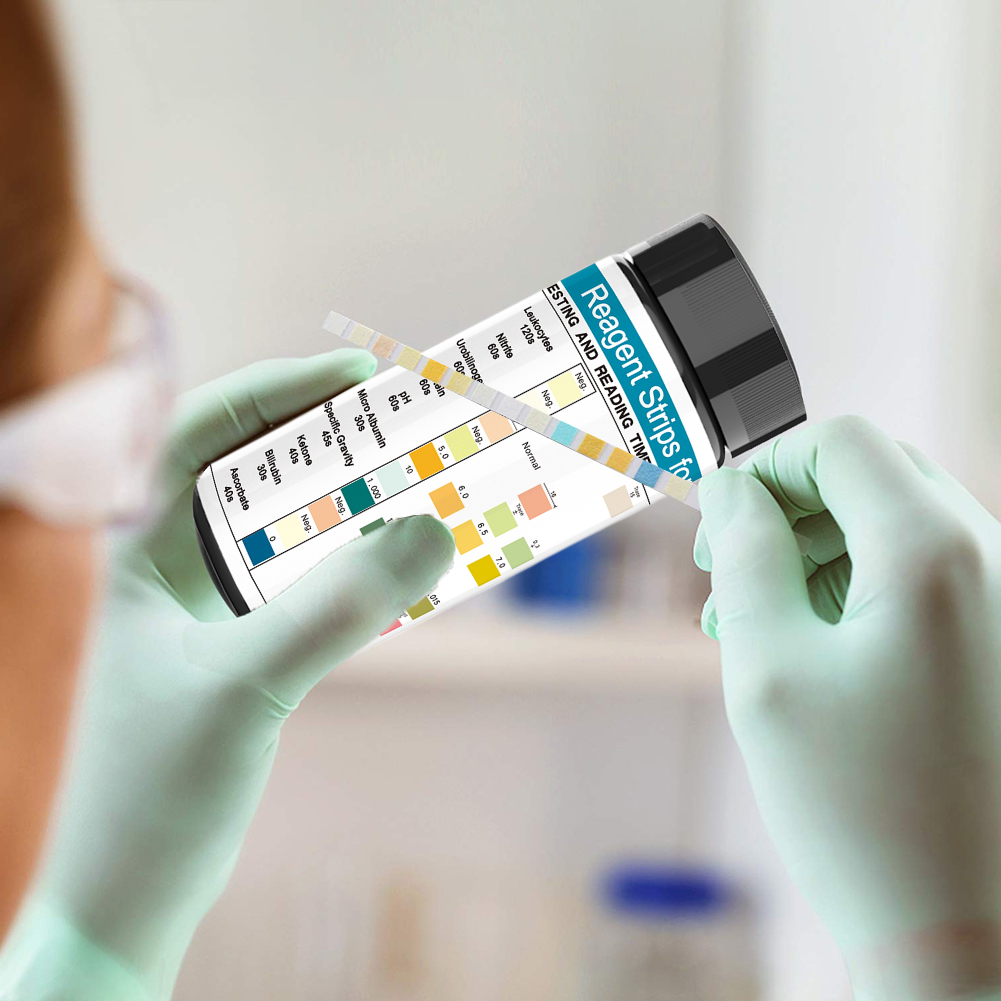 100 Strips Urine Test Strip 10 - Urinalysis Reagent Strip ulasan dan harga
